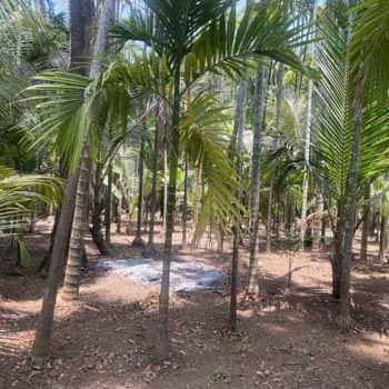 6850 Sq.ft. Residential Plot for Sale in Chaul, Raigad