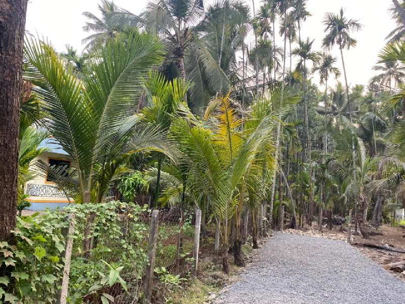 6850 Sq.ft. Residential Plot for Sale in Chaul, Raigad
