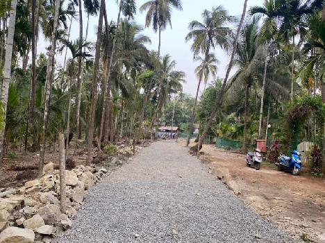 8100 Sq.ft. Agricultural/Farm Land for Sale in Alibag, Raigad