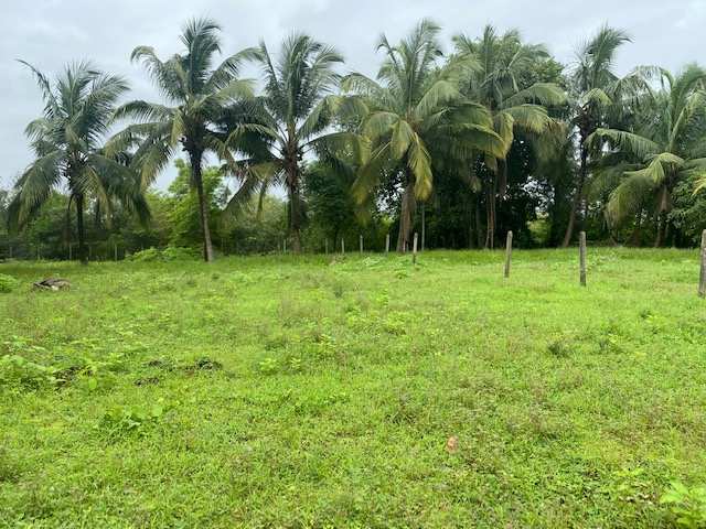 Agriculture Plot IN Alibag Nagaon