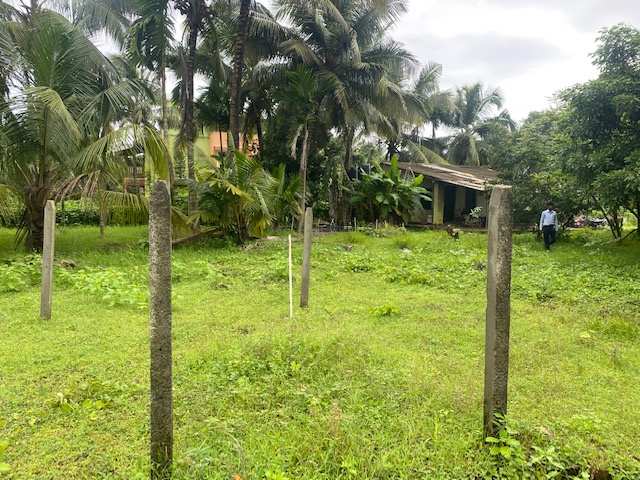 Agriculture Farmhouse Wadi plot in Alibag Nagaon