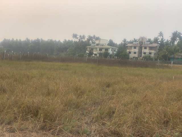 Agriculture plot in Nagaon Alibag