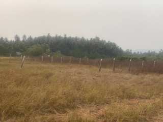 Agriculture plot in Nagaon Alibag