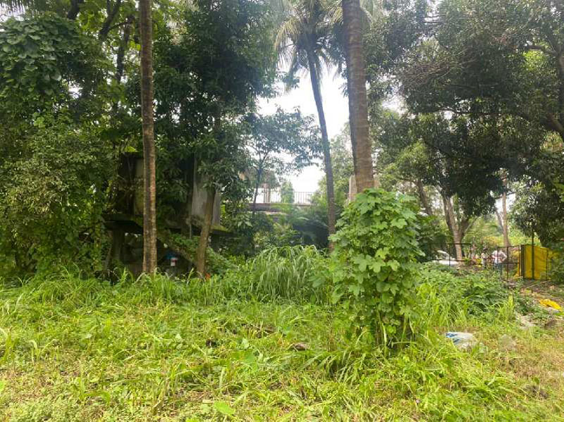 Bungalow plot in Nagaon Alibag