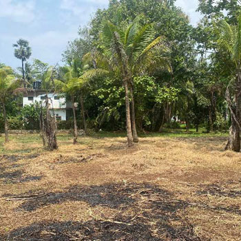 Farmhouse plot in Nagaon Alibag