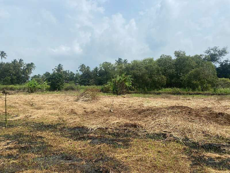 Farmhouse plot in Nagaon Alibag