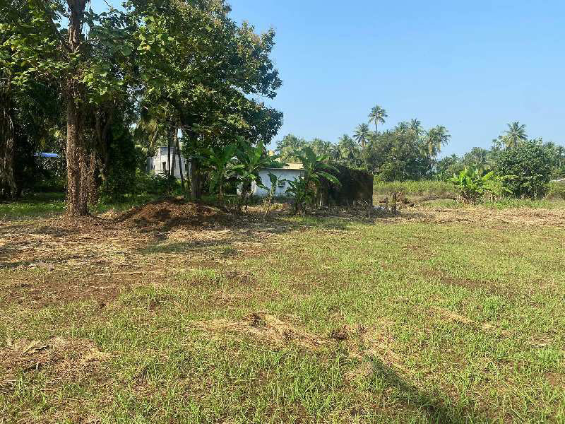 Farmhouse plot in Alibag Nagaon