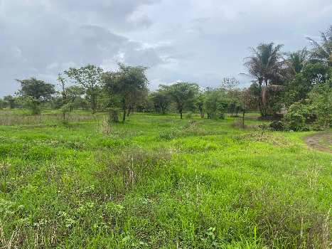 Residential plot in Alibag Nagaon