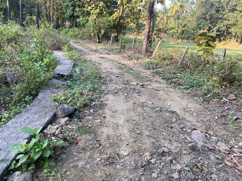 Farmhouse plot in Alibag Chaul