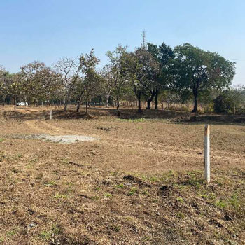 Agriculture farmhouse plot in agarsure Alibag