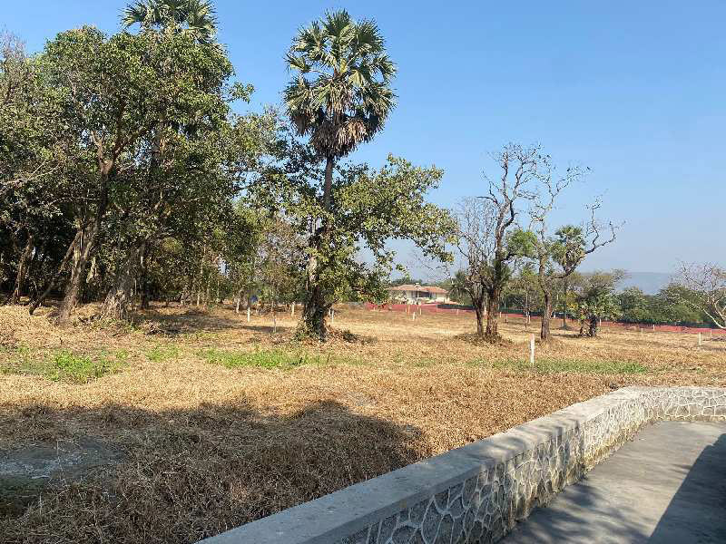 Agriculture farmhouse plot in agarsure Alibag