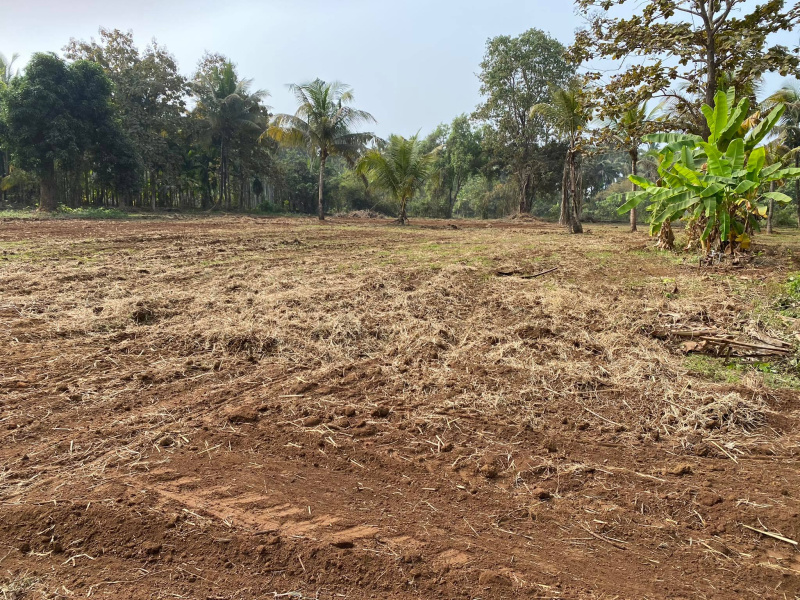 Beach Touch Agriculture plot in Alibag Nagaon
