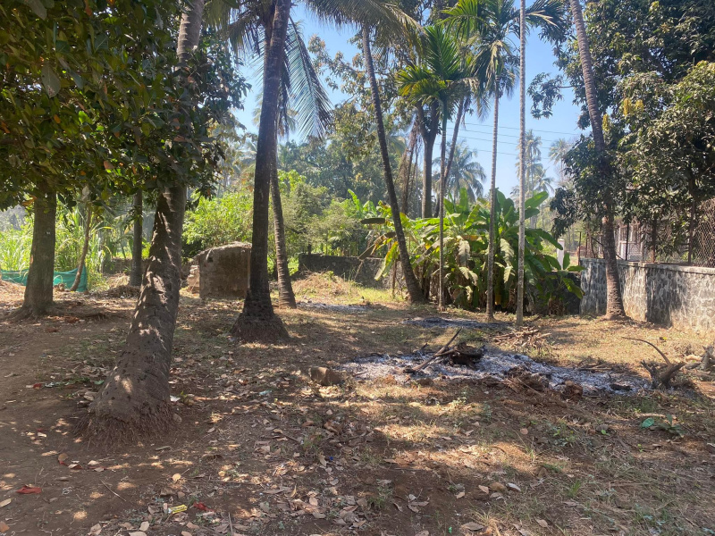 Agriculture Bungalow Plot in Alibag Nagaon