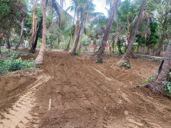 Alibag Nagaon Main Road touch plot