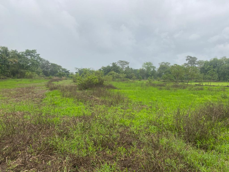Residential Zone Agriculture plot in Alibag Nagaon