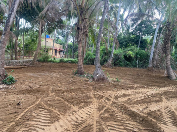 Agriculture Plot in Alibag Nagaon Main road Touch