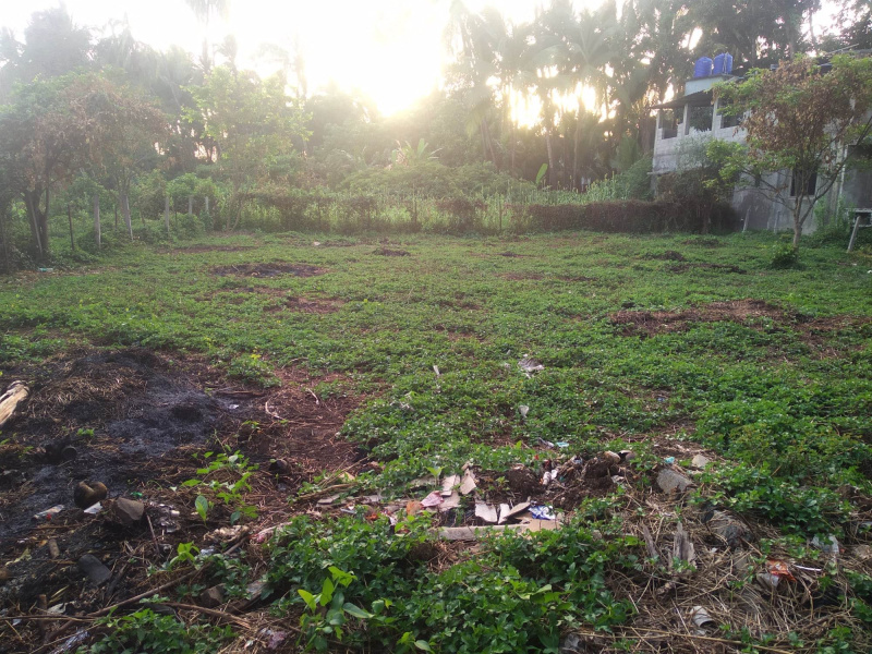 Residential plot in alibag Nagaon