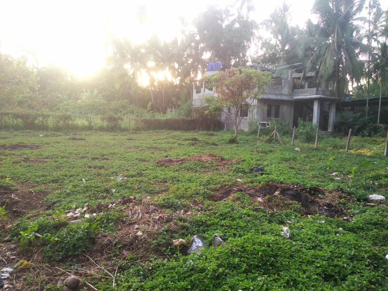 Residential plot in alibag Nagaon