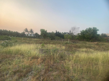 Residential Plot in Alibag Nagaon