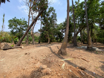 Agriculture wadi plot in Alibag Chaul