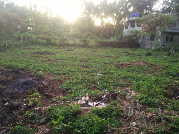 Residential NA  Plot in Alibag Nagaon