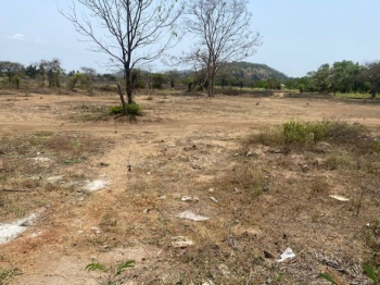 Agriculture plot in Nagaon Alibag