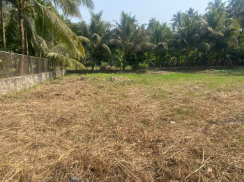 25000 Sq.ft. Residential Plot for Sale in Alibag, Raigad