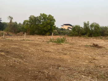 Residential Plot in Alibag Nagaon