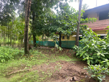 Agriculture plot in Nagaon Alibag