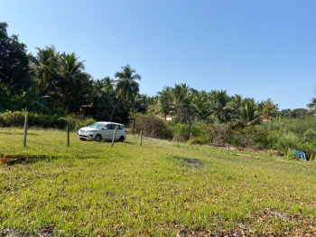 Agriculture Wadi plot in Nagaon Alibag