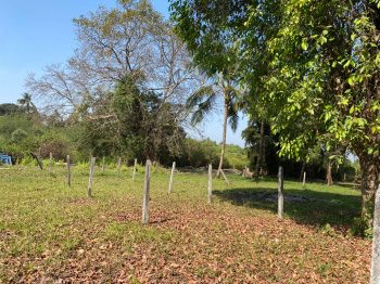 Agriculture plot in Nagaon Alibag