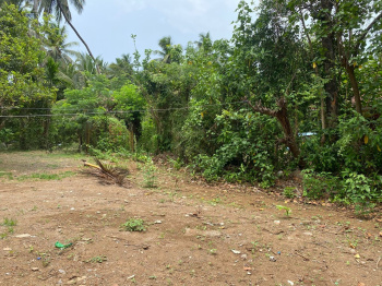 Agriculture Wadi plot in ALibag Nagaon