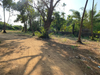 Residential Plot for Sale in Alibag, Raigad (40000 Sq.ft.)