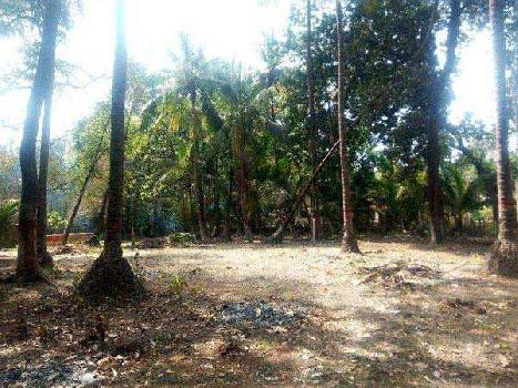 Farm Land for Sale in Alibag, Raigad (5850 Sq.ft.)