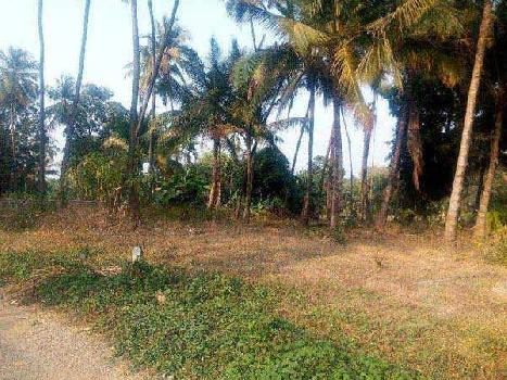 Farm Land for Sale in Alibag, Raigad (1100 Sq. Meter)