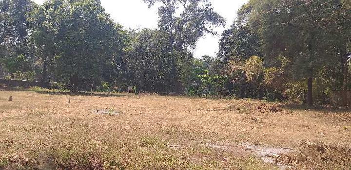 8300 sq.ft Agriculture farm land