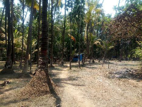 7000 Sq.ft. Agricultural/Farm Land for Sale in Alibag, Raigad