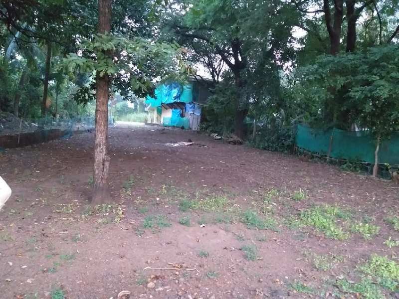 23000 Sq.ft. Agricultural/Farm Land for Sale in Alibag, Raigad
