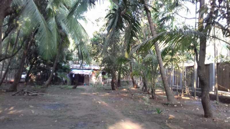 5500 Sq.ft. Industrial Land / Plot for Sale in Alibag, Raigad