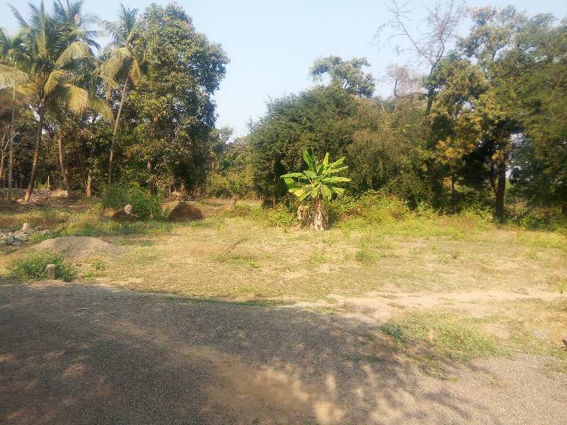 9000 sq. ft.  agriculture property for sale.