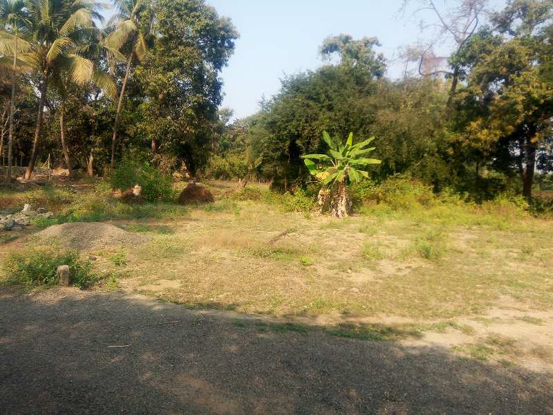 5500 sq. ft. agriculture property for sale.