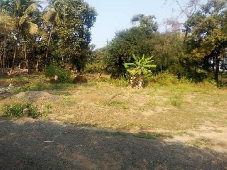 8500 sq. ft. agricuiture property for sale.