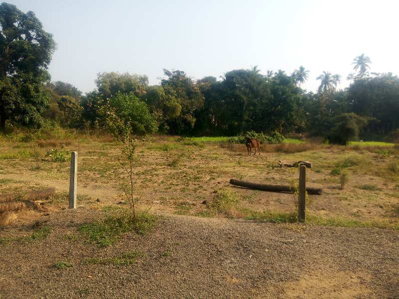 8500 sq. ft. agricuiture property for sale.