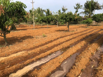 Property for sale in Srinagar, Dharwad