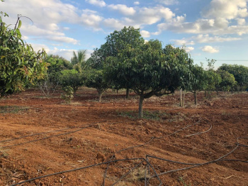 Property for sale in Srinagar, Dharwad