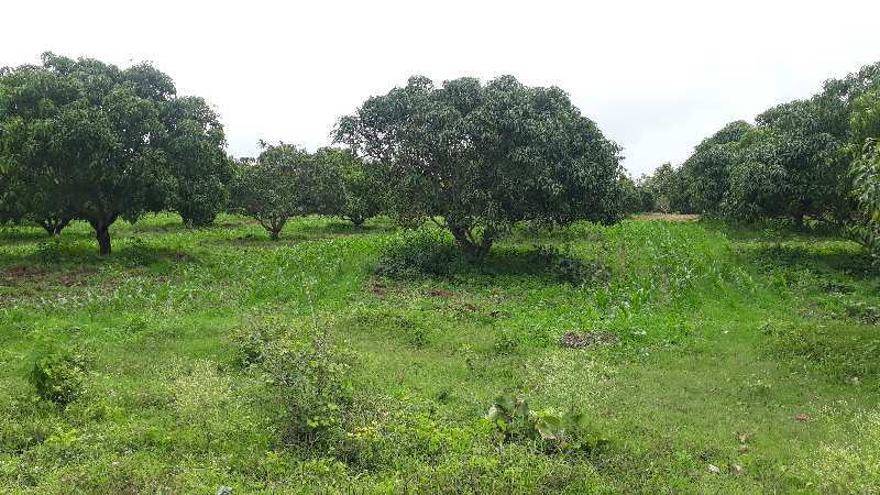 7 Acre Agricultural/Farm Land for Sale in Tegur, Dharwad