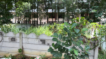 Property for sale in Gopanpally, Hyderabad
