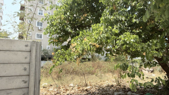 Residential Plot for Sale in Hafeezpet, Hyderabad (500 Sq. Yards)