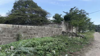 Plot for sale Tellapur behind Tridasa Towers 1000 sq yrds W/F Rs.12 Cr