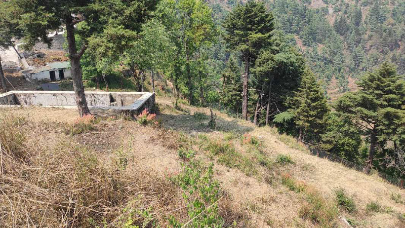 1172 Sq. Yards Agricultural/Farm Land for Sale in Mussoorie, Dehradun